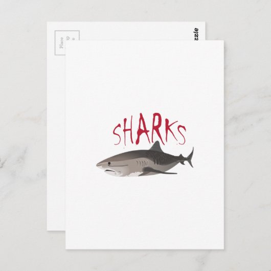 SHARKS BRIEFKAART (Voorkant / Achterkant)