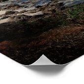 Sharks Cove, Oahu Poster (Hoek)