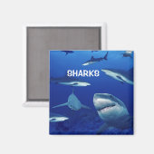 Sharks Magnet (Voorkant / Achterkant)