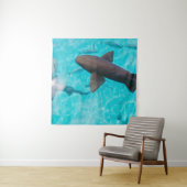 SHARKS ON BODY OF WATER WANDKLEED (In situ)
