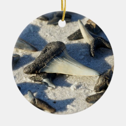 Sharks Tooth Circle Ornament (Voorkant)