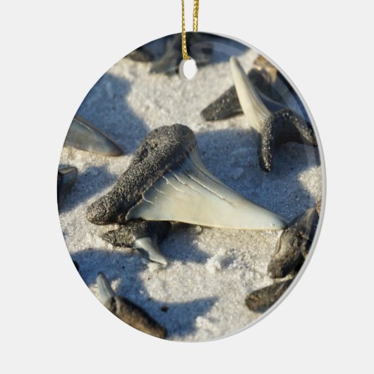 Sharks Tooth Circle Ornament (Links)