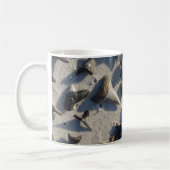 Sharks Tooth Mok (Links)