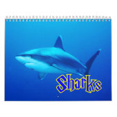 Sharks Wall Calendar Kalender (Hoes)