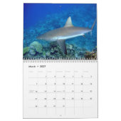 Sharks Wall Calendar Kalender (Mar 2027)