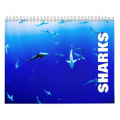 Sharks Wall Calendar Kalender (Hoes)