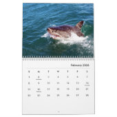 Sharks Wall Calendar Kalender (Feb 2026)