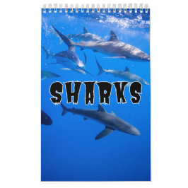 Sharp Collectie Showcase Wall Agenda Kalender