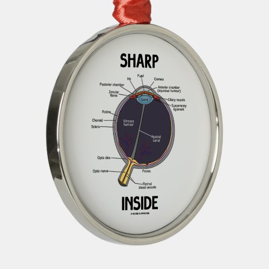 Sharp Eye (I) Inside (anatomisch Eyeball) Metalen Ornament (Rechts)