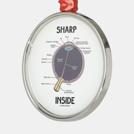 Sharp Eye (I) Inside (anatomisch Eyeball) Metalen Ornament (Links)
