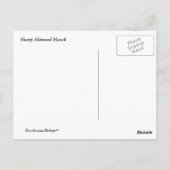 Sharp-Shinned Hawk Briefkaart (Achterkant)