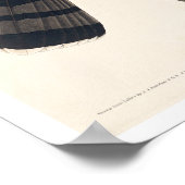 Sharp-shinned Hawk door Poster van Audubon (Hoek)