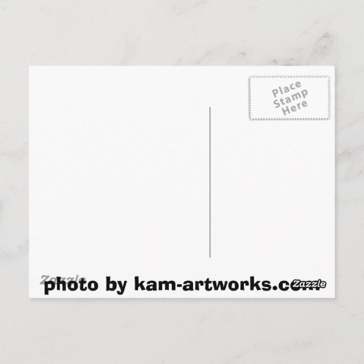 Sharp-Shinned Hawk in vlucht Briefkaart (Achterkant)