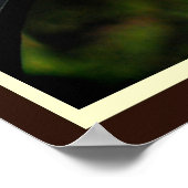 Sharp-shinned Hawk Poster (Hoek)