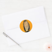 Sharp-Shinned Hawk Ronde Sticker (Envelop)