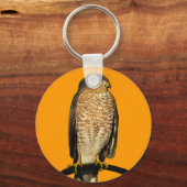 Sharp-Shinned Hawk Sleutelhanger (Voorkant)