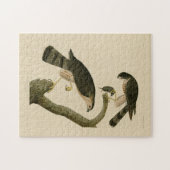 Sharp-shinned Hawk van de Amerikaanse vogels van A Legpuzzel (Horizontaal)