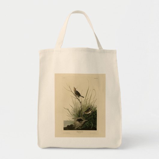 Sharp-staartvink van Audubon's vogels in Amerika Tote Bag (Voorkant)