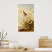 Sharp-Tailed Finch, Joseph B. Kidd Fine Art Poster (Keuken)