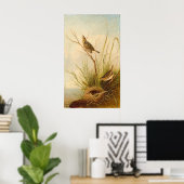 Sharp-Tailed Finch, Joseph B. Kidd Fine Art Poster (Thuiskantoor)