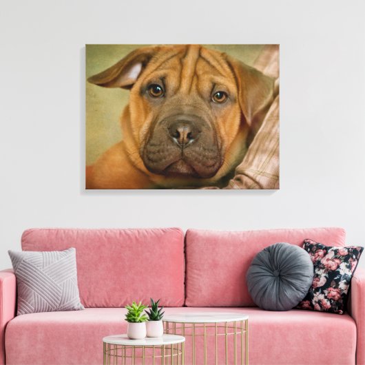 Sharpei-Beagle Puppy Canvas Afdruk (Insitu (Woonkamer))