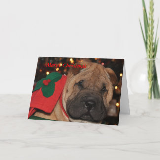 Sharpei Christmas Card Feestdagen Kaart