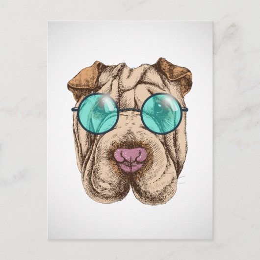 Sharpei in zonnebrillen briefkaart (Voorkant)