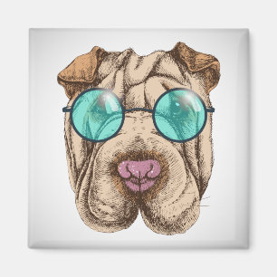 Sharpei in zonnebrillen magneet