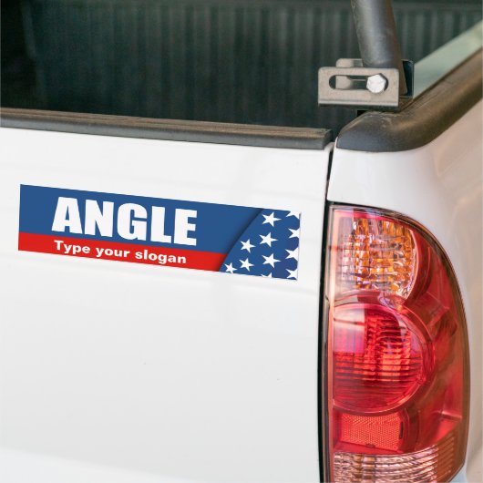 SHARRON ANGLE 2010 BUMPERSTICKER (Op Truck)