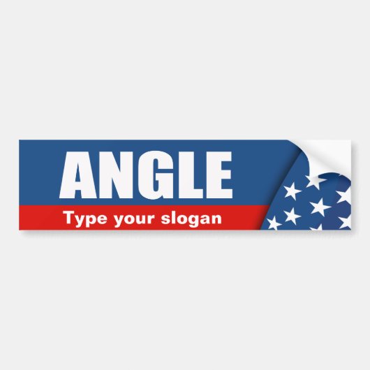 SHARRON ANGLE 2010 BUMPERSTICKER (Voorkant)