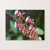 Sharry Baby Oncidium 10x14 Photo Puzzle Legpuzzel (Horizontaal)