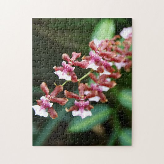 Sharry Baby Oncidium 10x14 Photo Puzzle Legpuzzel (Verticaal)