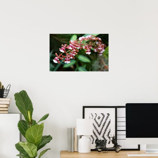 Sharry Baby Oncidium Poster (Thuiskantoor)