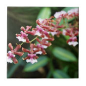 Sharry Baby Oncidium Tile Tegeltje (Voorkant)