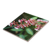Sharry Baby Oncidium Tile Tegeltje (Zijkant)