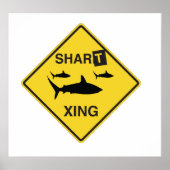 Shart Crossing Poster (Voorkant)