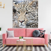 Shasha jonge mannelijke luipaard canvas afdruk (Insitu (Woonkamer))