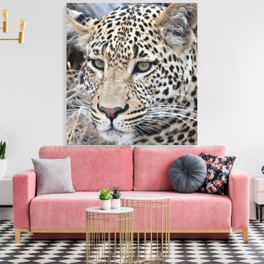 Shasha jonge mannelijke luipaard canvas afdruk (Insitu (Woonkamer))