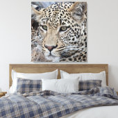 Shasha jonge mannelijke luipaard canvas afdruk (Insitu (Slaapkamer))
