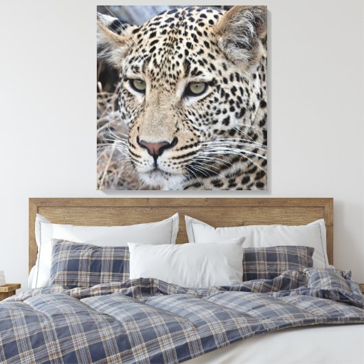 Shasha jonge mannelijke luipaard canvas afdruk (Insitu (Slaapkamer))