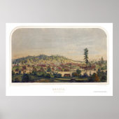 Shasta, CA Panoramic Map - 1856 Poster (Voorkant)