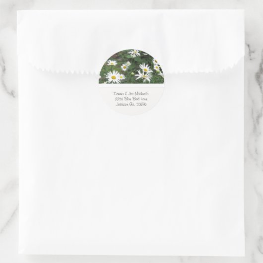 Shasta Daisies Adres Stickers (Tas)