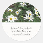 Shasta Daisies Adres Stickers (Voorkant)