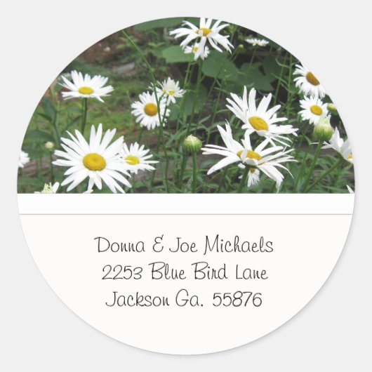 Shasta Daisies Adres Stickers (Voorkant)