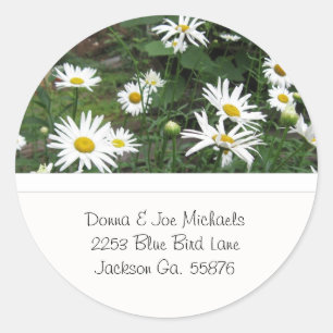 Shasta Daisies Adres Stickers