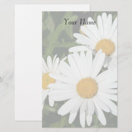 Shasta Daisies Briefpapier (Voorkant / Achterkant)