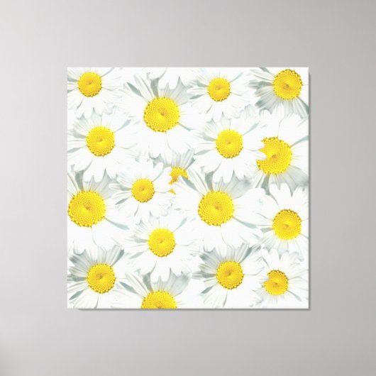 Shasta Daisies Canvas Afdruk (Voorkant)