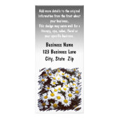 Shasta Daisies-foto Reclamekaart (Achterkant)