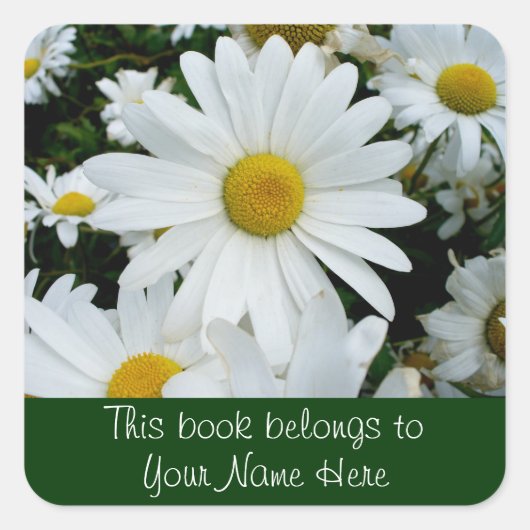 Shasta Daisies Foto Vierkante Sticker (Voorkant)