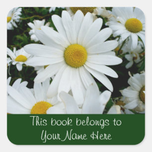Shasta Daisies Foto Vierkante Sticker